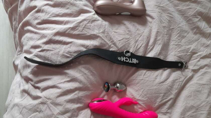 Wand, aspirateur clitoridien, collier bitch, rabbit, rosebud et godes