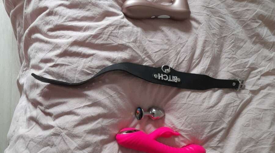 Wand, aspirateur clitoridien, collier bitch, rabbit, rosebud et godes