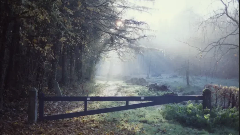 C'est la photo d'une barrière qui montre l'entrée d'une forêt où à gauche, elle semble sombre avec des arbres noirs et à droite illuminée par le soleil. Une forêt où se rend de temps à autre Lili Soumise